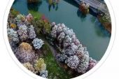 《听雪》(张碧晨演唱)的文本歌词及LRC歌词