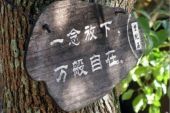 《放下的时候》(刘烨演唱)的文本歌词及LRC歌词