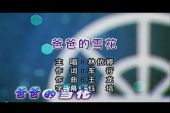 《爸爸的雪花 (新版)》(徐金慧演唱)的文本歌词及LRC歌词
