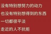 《愿赌服输》(张北北演唱)的文本歌词及LRC歌词