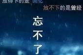 《忘不了也要忘》(梦然演唱)的文本歌词及LRC歌词