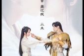 《难道你真的不曾爱过我》(陈雅森演唱)的文本歌词及LRC歌词
