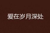 《岁月深处》(雨宗林演唱)的文本歌词及LRC歌词