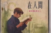 《在人间》(王建房演唱)的文本歌词及LRC歌词