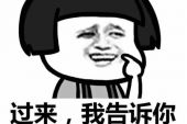 《我有一个小秘密》(张怡诺演唱)的文本歌词及LRC歌词