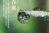 《把今天留住》(甘萍演唱)的文本歌词及LRC歌词