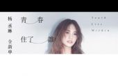 《青春住了谁》(杨丞琳演唱)的文本歌词及LRC歌词
