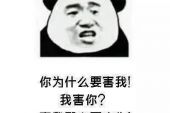 《我喜欢你 为什么你视而不见》(带泪的鱼演唱)的文本歌词及LRC歌词