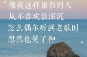 《像我这样的人》(毛不易演唱)的文本歌词及LRC歌词