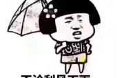 《风里雨里我在等你》(司文&兰依依演唱)的文本歌词及LRC歌词