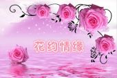 《花约情缘》(萌熙月演唱)的文本歌词及LRC歌词