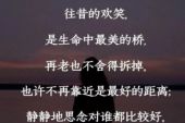 《你若安好我不打扰》(冷漠演唱)的文本歌词及LRC歌词