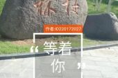 《下定决心等着你》(大哲演唱)的文本歌词及LRC歌词
