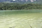 《岁月神偷》(周笔畅演唱)的文本歌词及LRC歌词