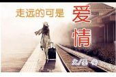 《爱情已走远》(暴林演唱)的文本歌词及LRC歌词
