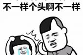 《我们不一样》(大壮演唱)的文本歌词及LRC歌词