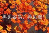 《再见难》(阿悄演唱)的文本歌词及LRC歌词