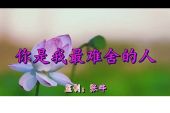 《你是我最难舍的人》(高安&郑莉莉演唱)的文本歌词及LRC歌词