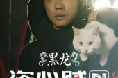 《盗心贼》(黑龙演唱)的文本歌词及LRC歌词