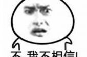 《我不相信》(庄心妍演唱)的文本歌词及LRC歌词