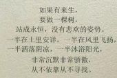 《如果来生拥有你》(晨熙演唱)的文本歌词及LRC歌词