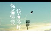《若你是他该有多好》(陈瑞演唱)的文本歌词及LRC歌词