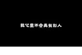 《没有人比你更爱我》(陈瑞演唱)的文本歌词及LRC歌词