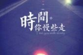 《时间，请你走慢一些》(张祖诚演唱)的文本歌词及LRC歌词
