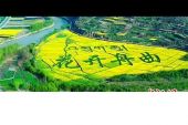 《花开舟曲》(年才让演唱)的文本歌词及LRC歌词