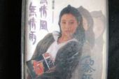 《无情的风无情的雨》(龙野演唱)的文本歌词及LRC歌词