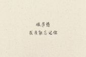 《遗忘的遗憾》(金南玲演唱)的文本歌词及LRC歌词