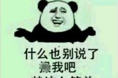 《别给我太多理由》(陈瑞演唱)的文本歌词及LRC歌词