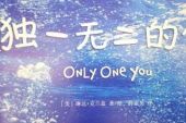 《独一无二》(黄凤仪演唱)的文本歌词及LRC歌词