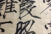 《诗上蔓》(晴愔演唱)的文本歌词及LRC歌词