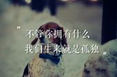 《我们生来就是孤独》(卢庚戌演唱)的文本歌词及LRC歌词
