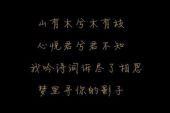 《我在梦中来到你身旁》(天籁天演唱)的文本歌词及LRC歌词