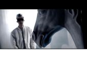 《All On Me ft. Blow Fever》(Al,Rocco演唱)的文本歌词及LRC歌词