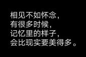 《有些情相见不如怀念》(王晓敏演唱)的文本歌词及LRC歌词