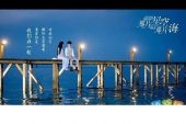 《夏夜星空海》(张信哲演唱)的文本歌词及LRC歌词