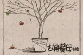《少年锦时》(郑熏演唱)的文本歌词及LRC歌词