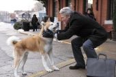 《HACHI》(白桦树娃娃演唱)的文本歌词及LRC歌词