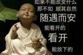 《除了心痛我一无所有》(赵真演唱)的文本歌词及LRC歌词