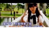《爱情伤了我害了你》(大庆小芳演唱)的文本歌词及LRC歌词