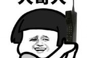 《大哥大哥》(汤潮演唱)的文本歌词及LRC歌词