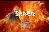 《爱为你燃烧》(望海高歌演唱)的文本歌词及LRC歌词