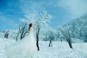 《你的世界为谁飘着雪》(云菲菲演唱)的文本歌词及LRC歌词