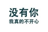 《没有我的日子你开心吗》(晨熙演唱)的文本歌词及LRC歌词
