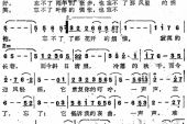 《网络不了情》(崔伟立演唱)的文本歌词及LRC歌词