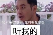 《是你不要我》(陈娟儿演唱)的文本歌词及LRC歌词