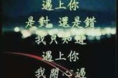 《遇上你是对是错》(刘莉演唱)的文本歌词及LRC歌词